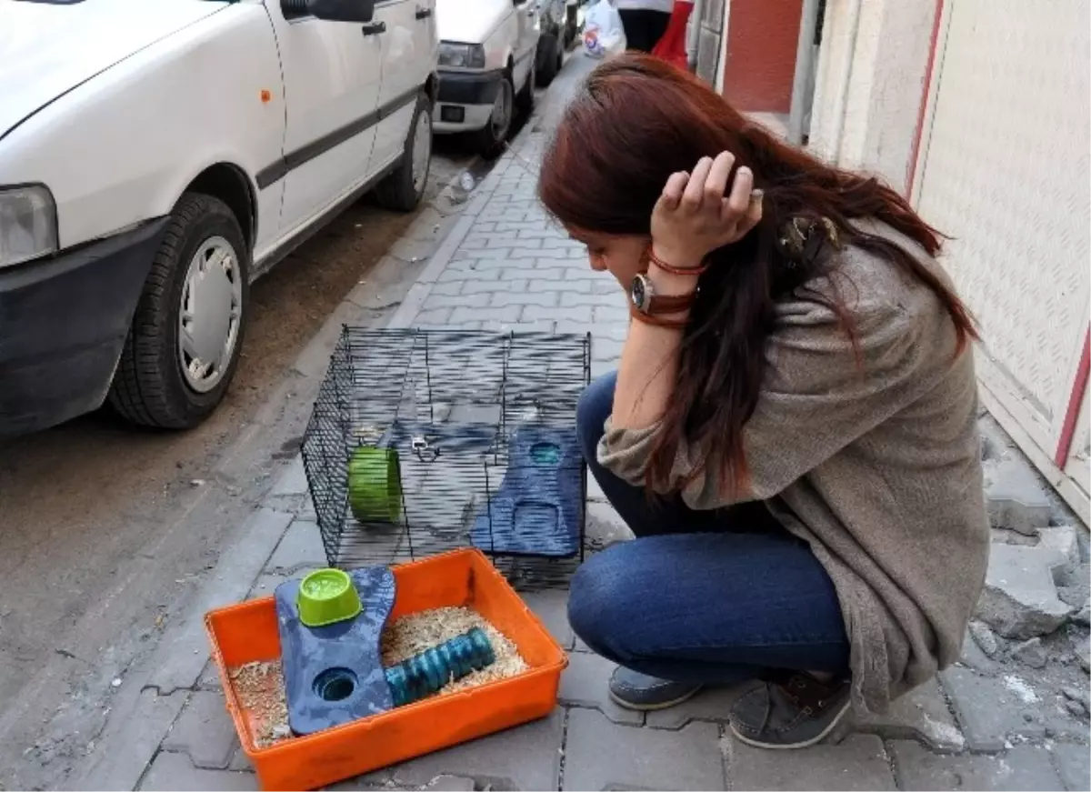 Hamsterı Ölümden İtfaiye Eri Kurtardı