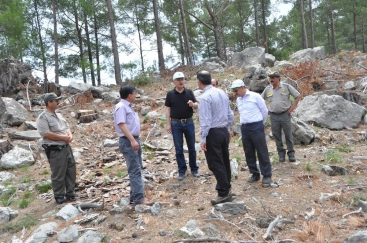 Mersin Orman Bölge Müdürlüğü\'nde Teftişler Sürüyor