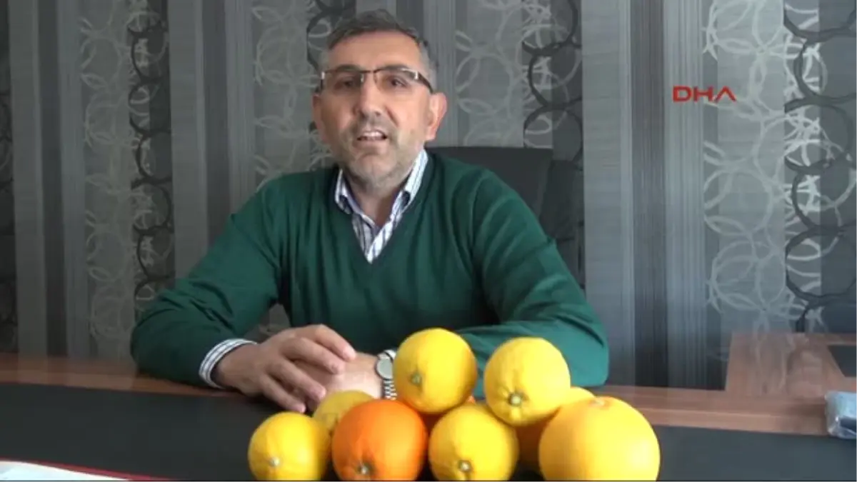 Yataklık Limonda İhracat Hedefi 45 Milyon Dolar