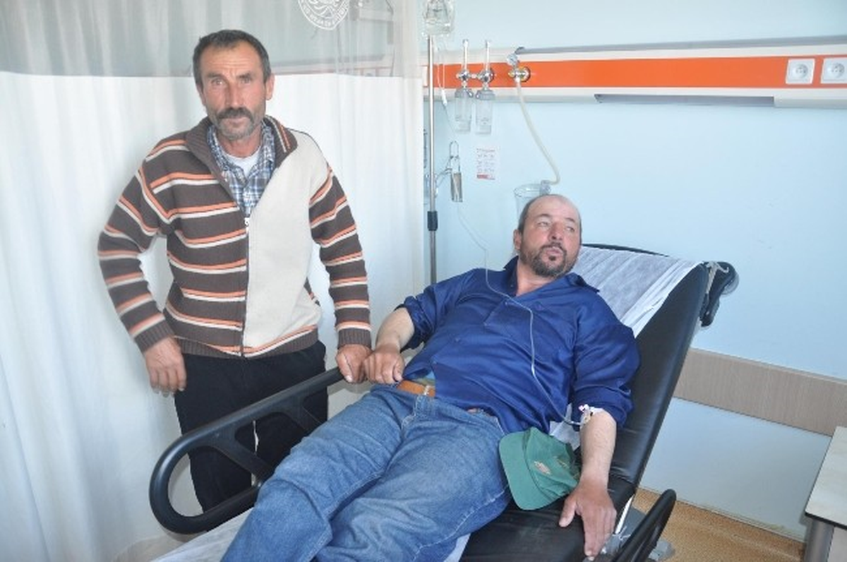 Yozgat\'ta 8 Kişi Peynirden Zehirlendi