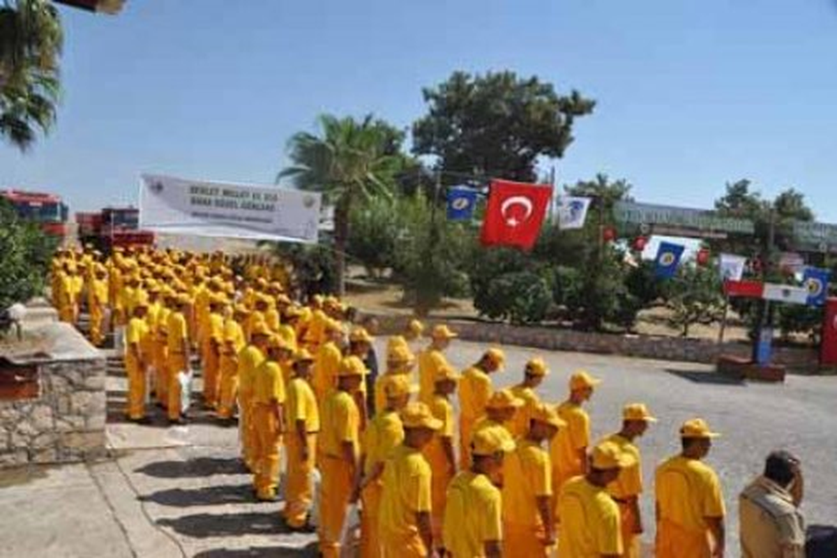 Antalya Orman Bölge Müdürlüğüne 144 Mevsimlik İşçi Alınacak