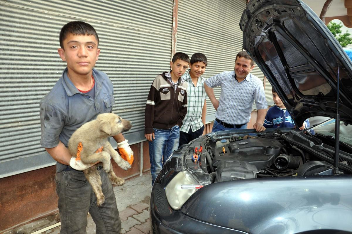 Kahramanmaraş\'ta Köpek Kurtarma Operasyonu