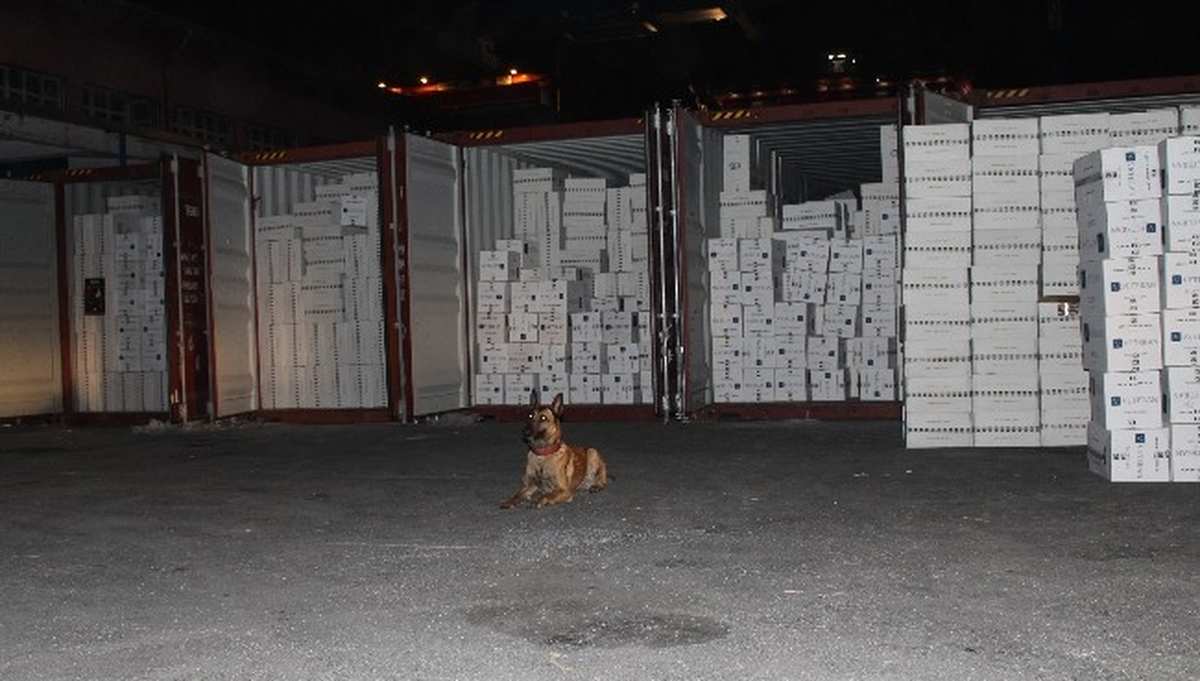 Mersin\'de 2 Milyon 317 Bin Paket Kaçak Sigara Ele Geçirildi
