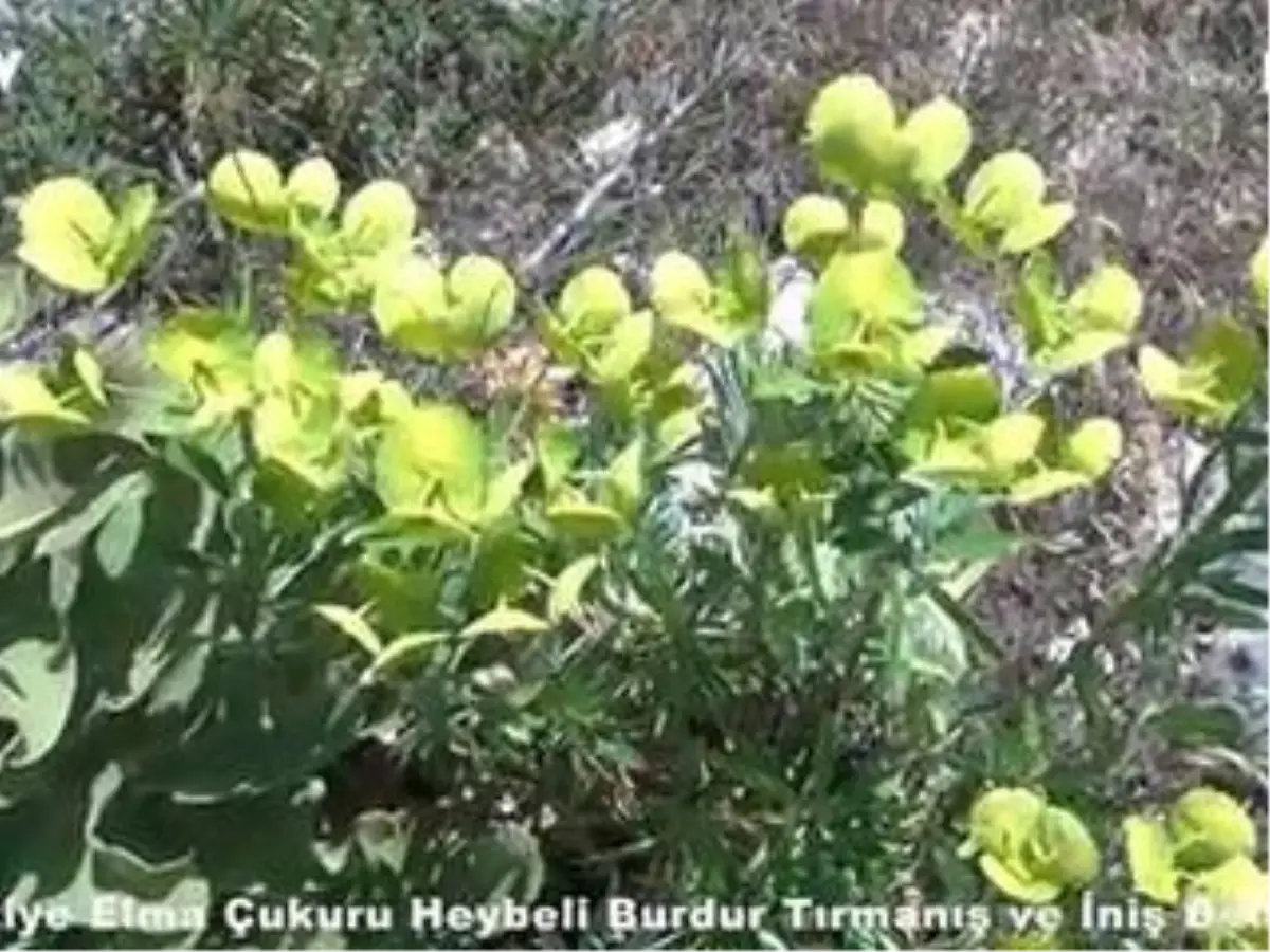 Aziziye Elma Çukuru Heybeli Burdur Tırmanış ve İniş Bölümü