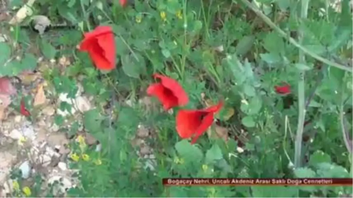 Boğaçay Nehri ve Doğa Sistemleri Uncalı Akdeniz Arası Saklı Cennetler Antalya