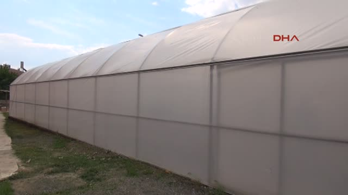 Engelli Öğrenciler Serada Sebze Yetiştirecek