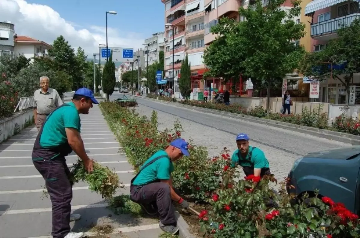 Erdek Belediye Binasının Çehresi Değişti