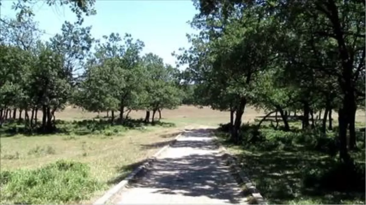 İzini Bırakanlar: Göle Giden Yol