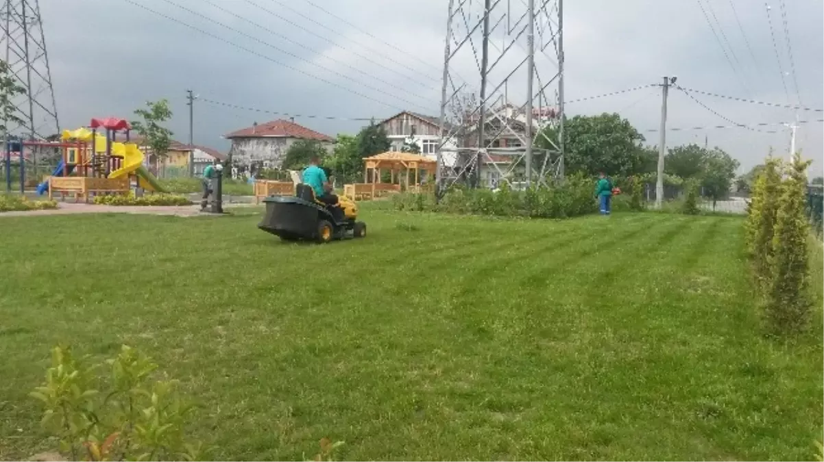 Kartepe\'de Yaz Bakımı Başladı