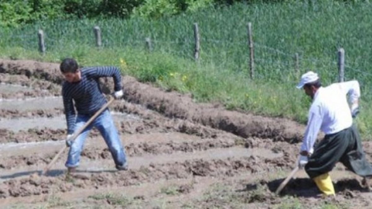 Kaymakam Perçi\'den Çiftçi Borçları Açıklaması