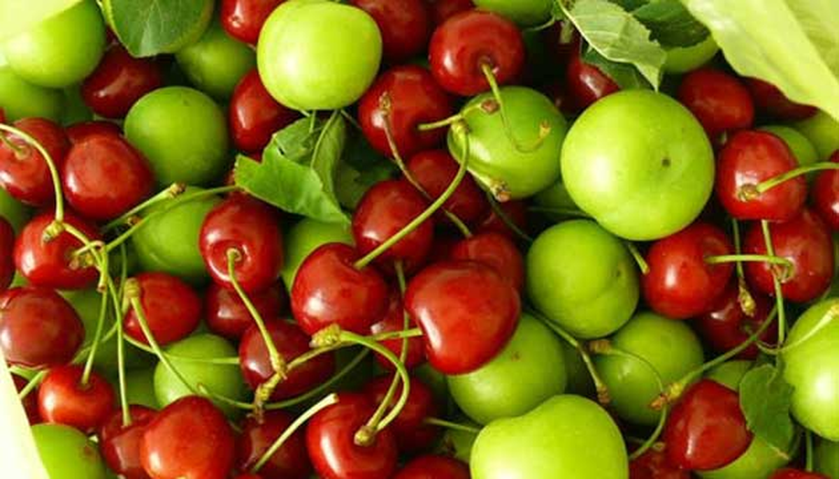 Kızıltepe Ticaret Borsası İşlemleri