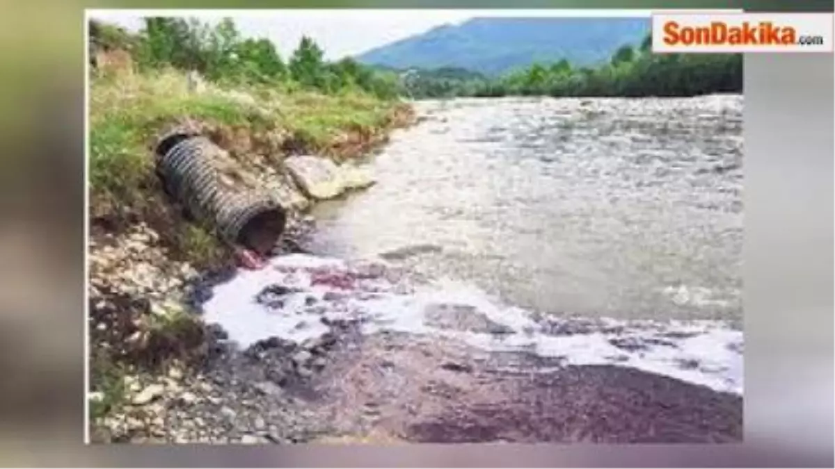 Sakarya Nehri\'ne Kan Akıtıldı" İddiası