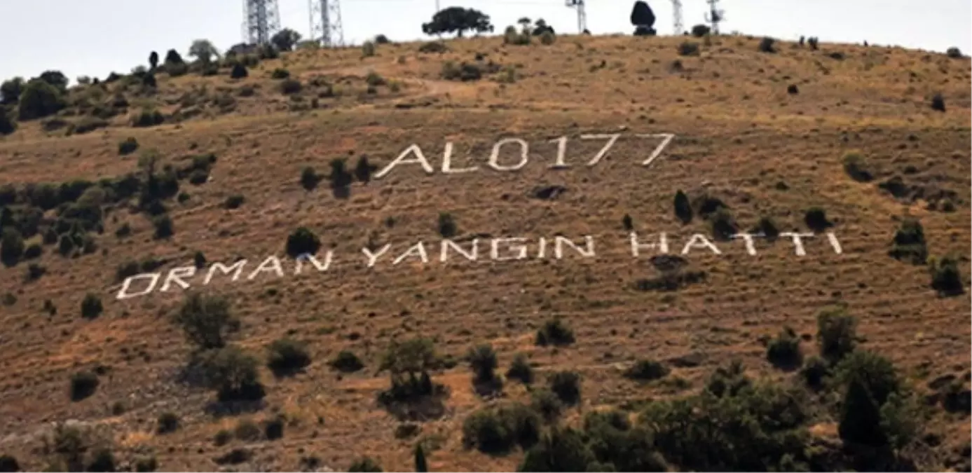 Alo 177\'ye İhbar, 175 Sakayı Özgürlüğüne Kavuşturdu