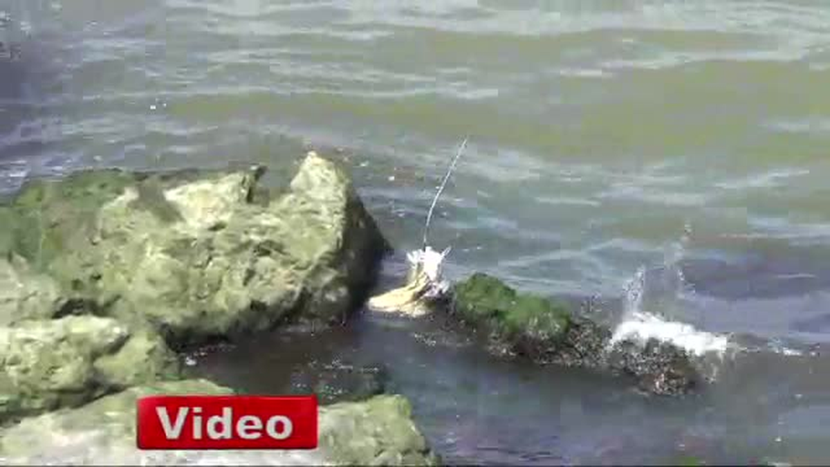 Samsun\'da Esrarengiz Askeri Cihaz Kıyıya Vurdu
