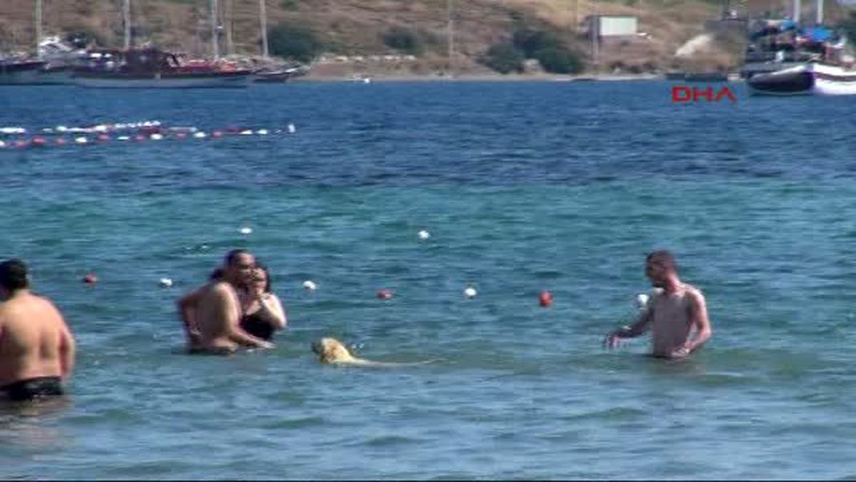Bodrum 34 Dereceyi Gördü