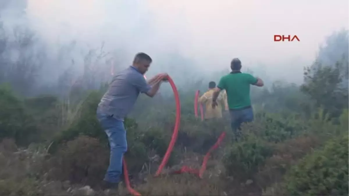 Hatay\'da Orman Yangını