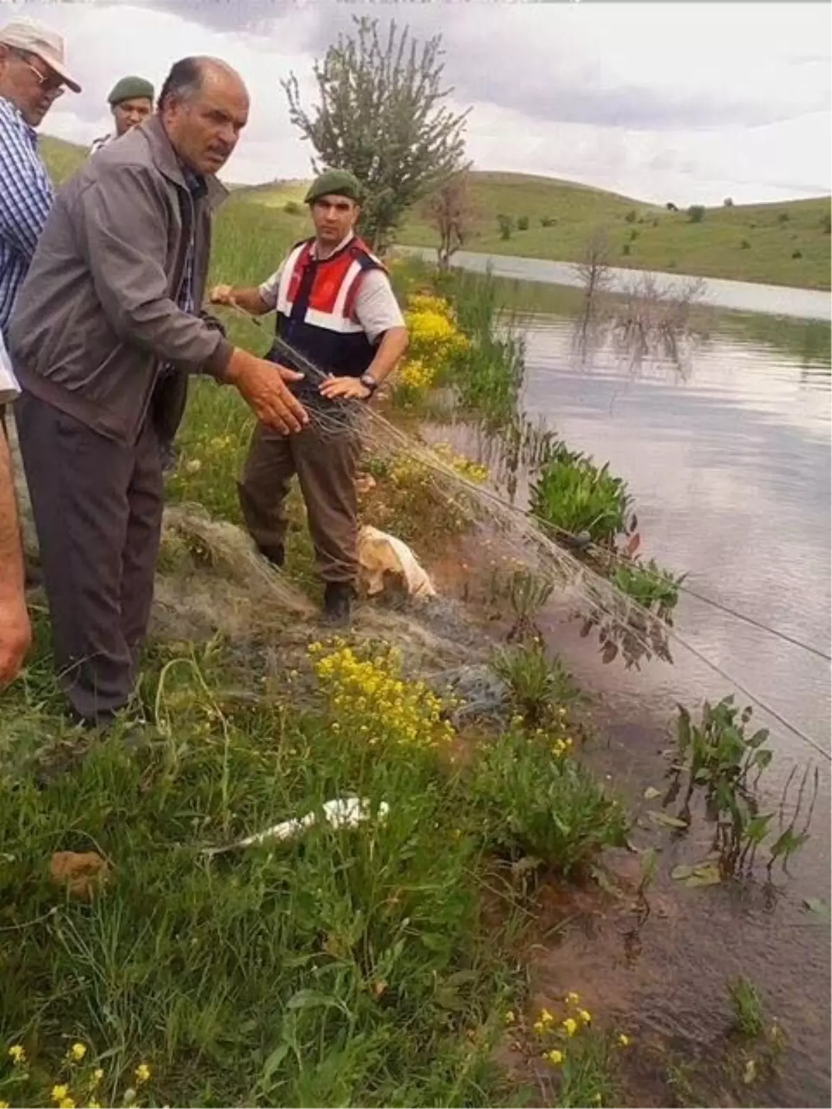 Jandarma Kaçak Avlanan Sazanları Tekrar Gölete Saldı