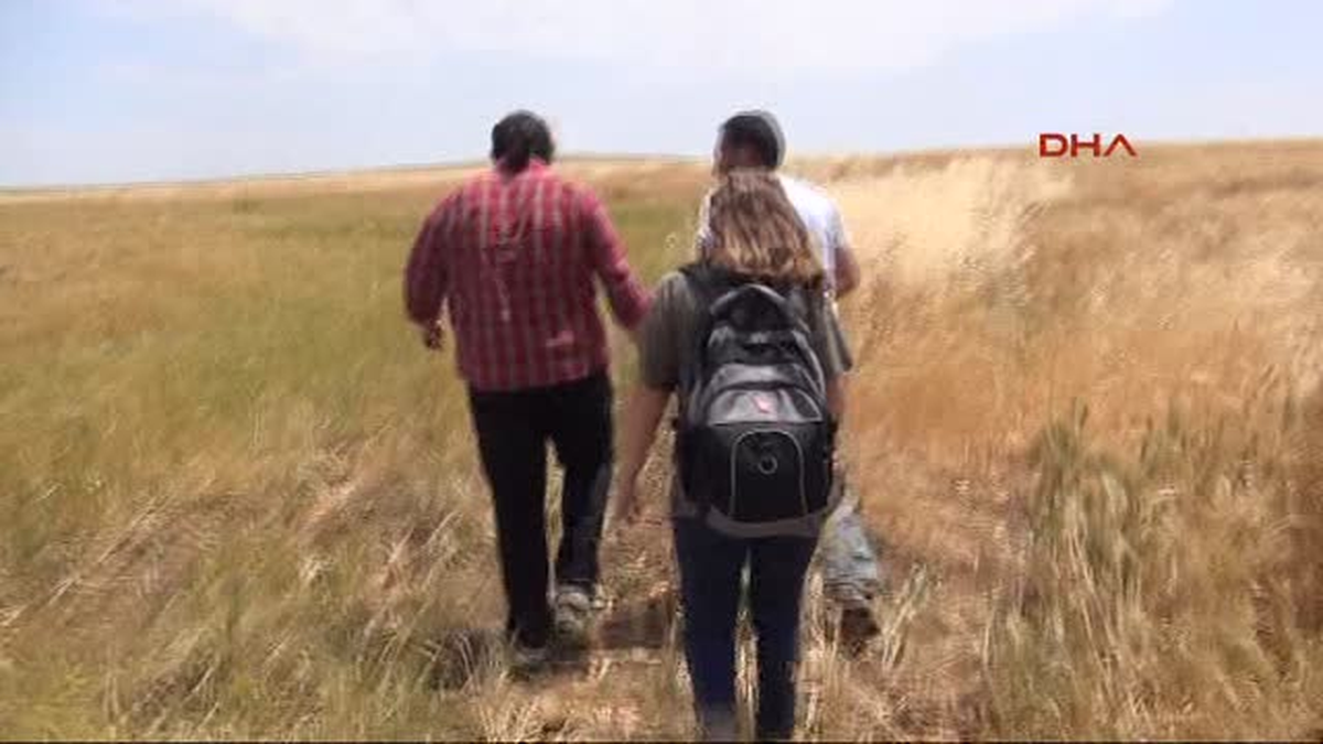 Suriye Sınırında Bulanan \'Çöl Varanı\' Doğaya Bırakıldı