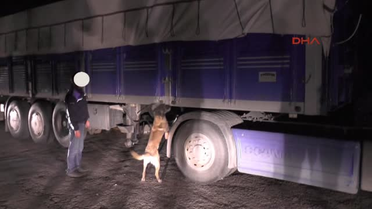 Tır Dorsesinde 307,5 Kilo Esrar Ele Geçirildi
