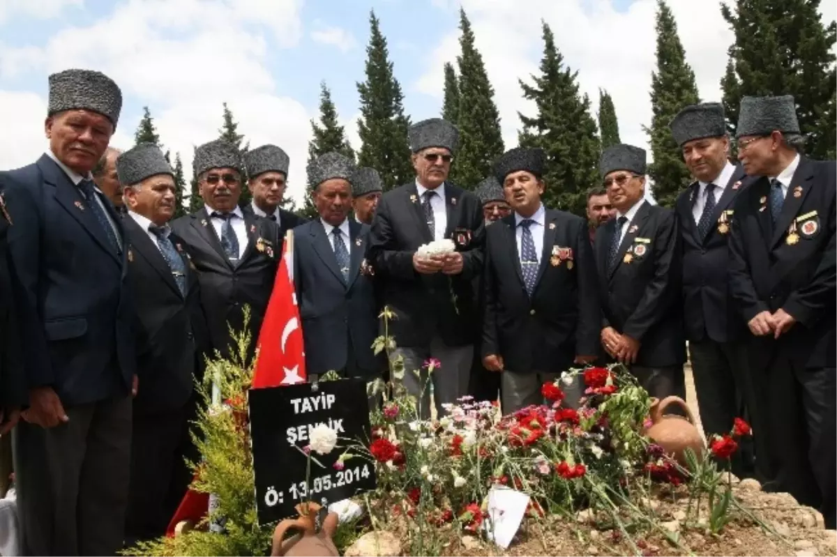 Erzurum\'da Gaziler Soma Şehitleri İçin Fidan Dikti