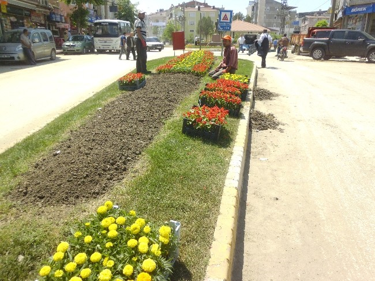 Hayrabolu Belediyesi İlçeyi Çiçeklendiriyor