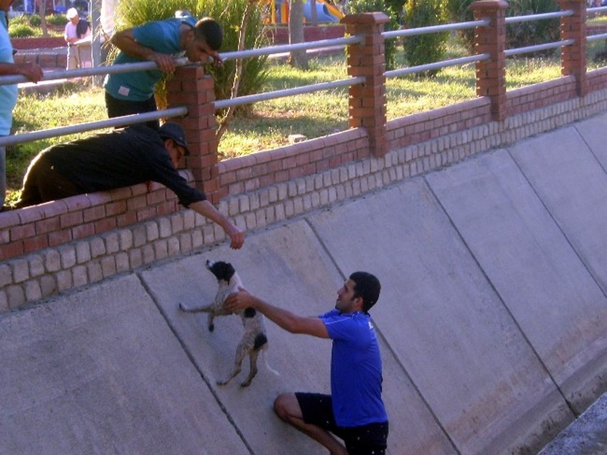 Didim\'de Kanala Düşen Köpeği Çarşı Esnafı Kurtardı