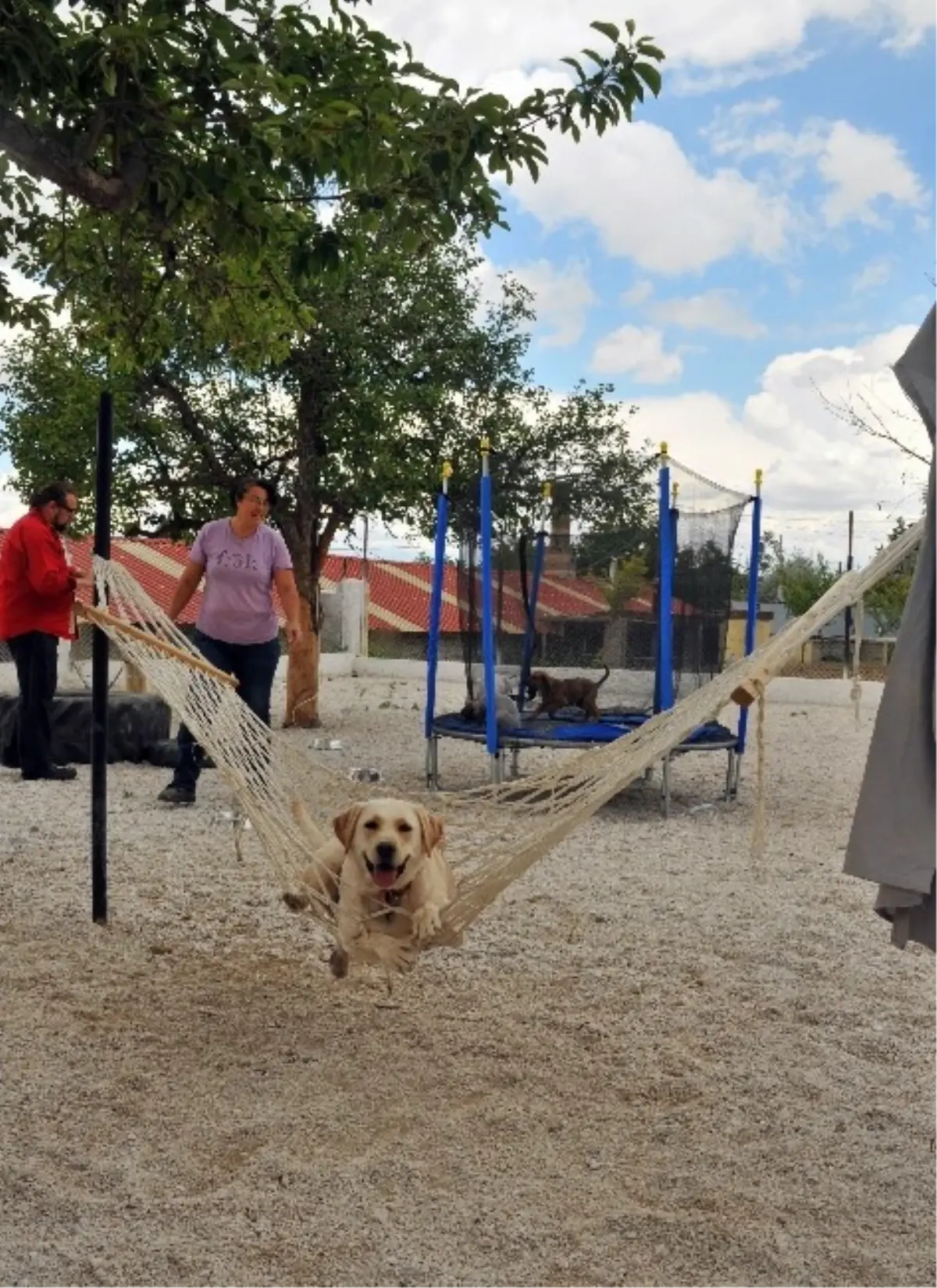 Kapadokya\'da Kedi ve Köpekler İçin Otel