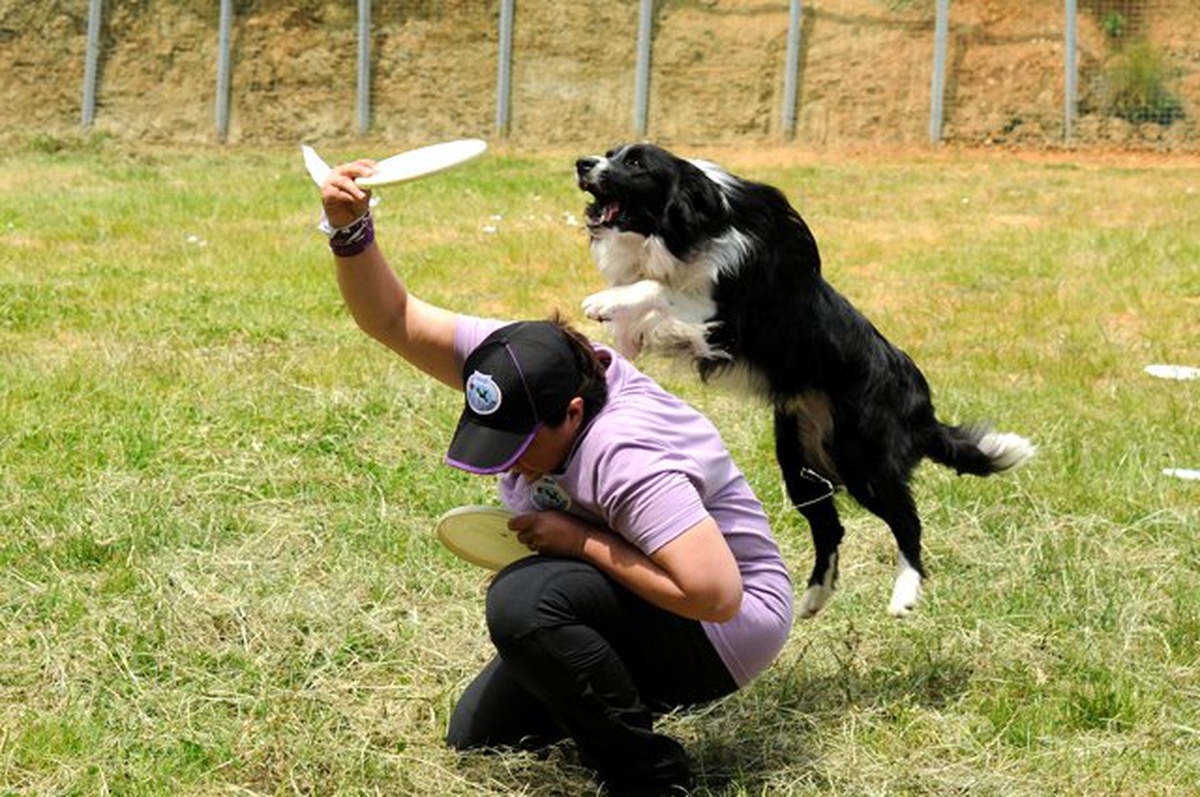 Köpekli Sporlara Champıon Desteği