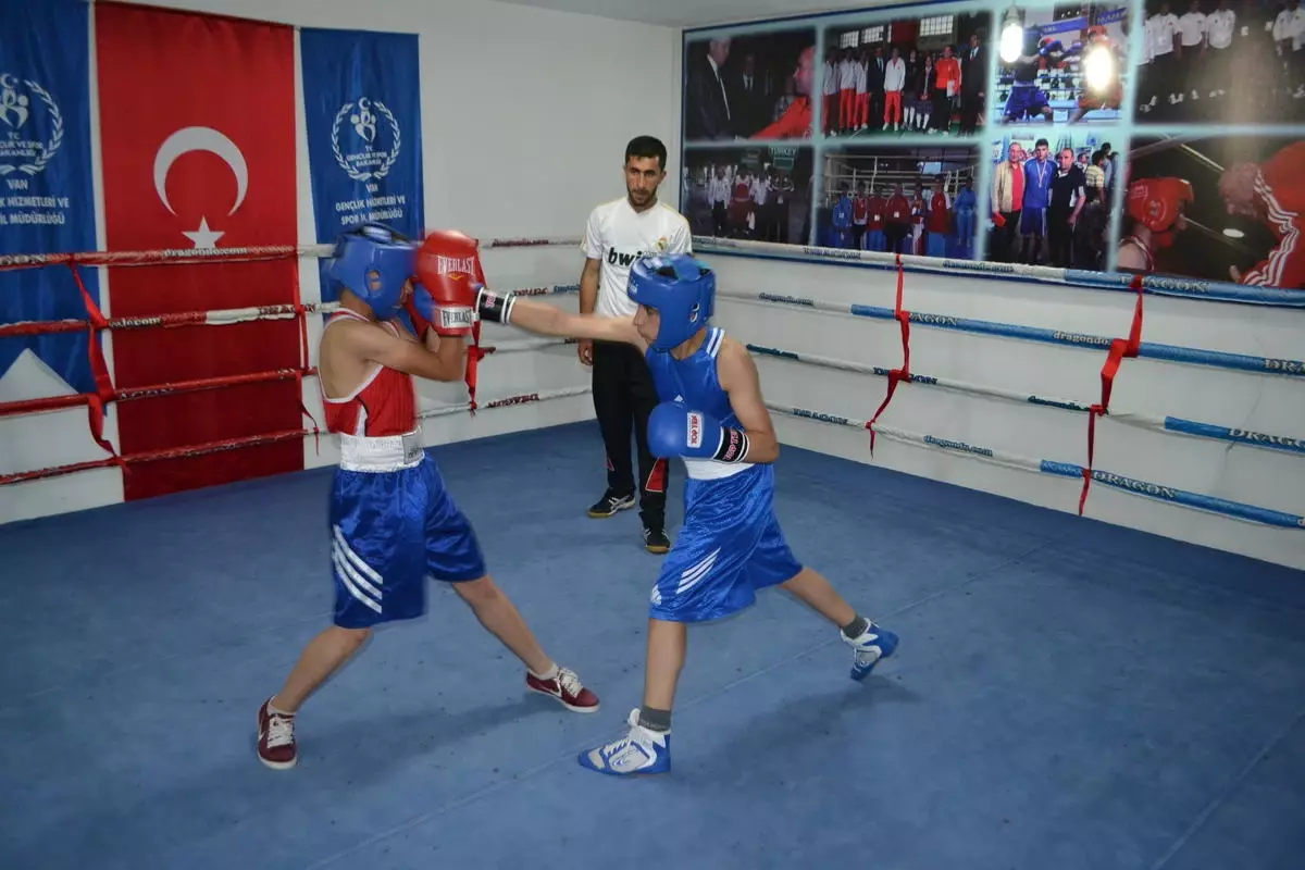 Türkiye Boks Şampiyonası