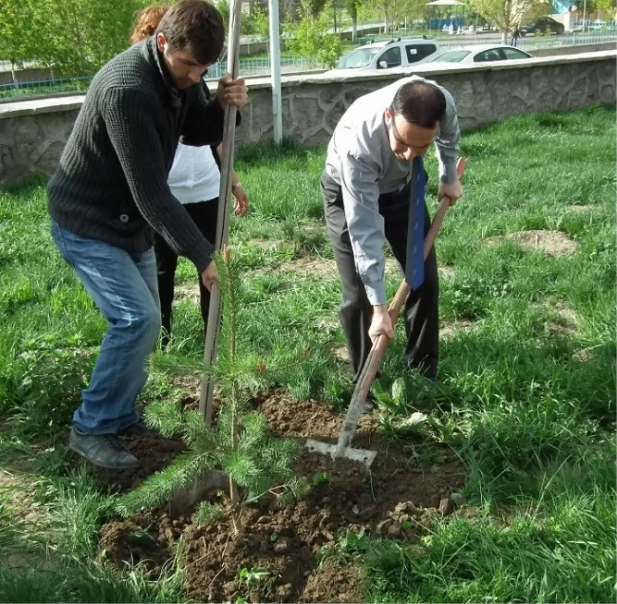 Akyaka Hükümet Konağı Önüne Fidan Dikildi