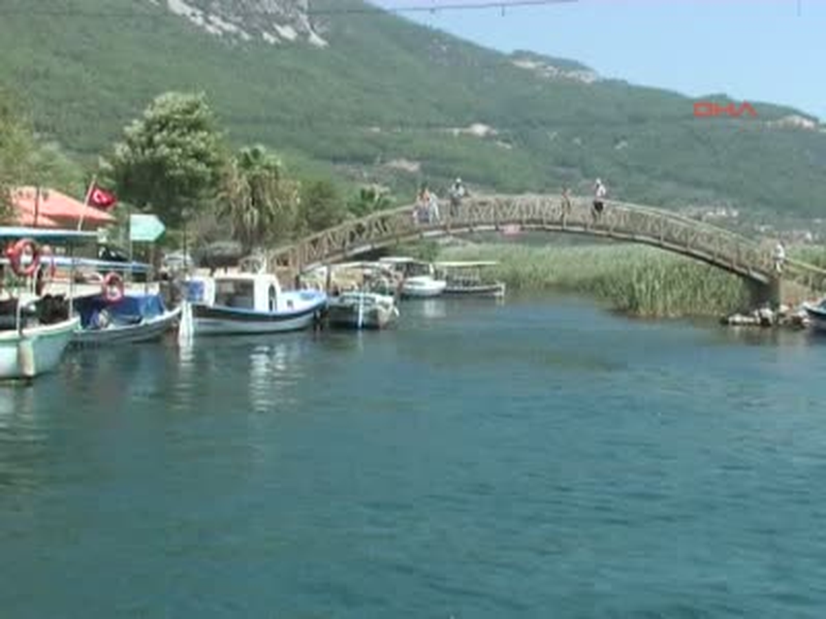 Mavi Tura Turist İlgisi
