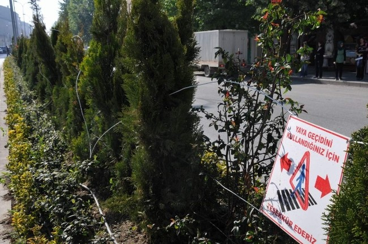 Bozüyük\'te Orta Refüj Çalışması Sabote Ediliyor