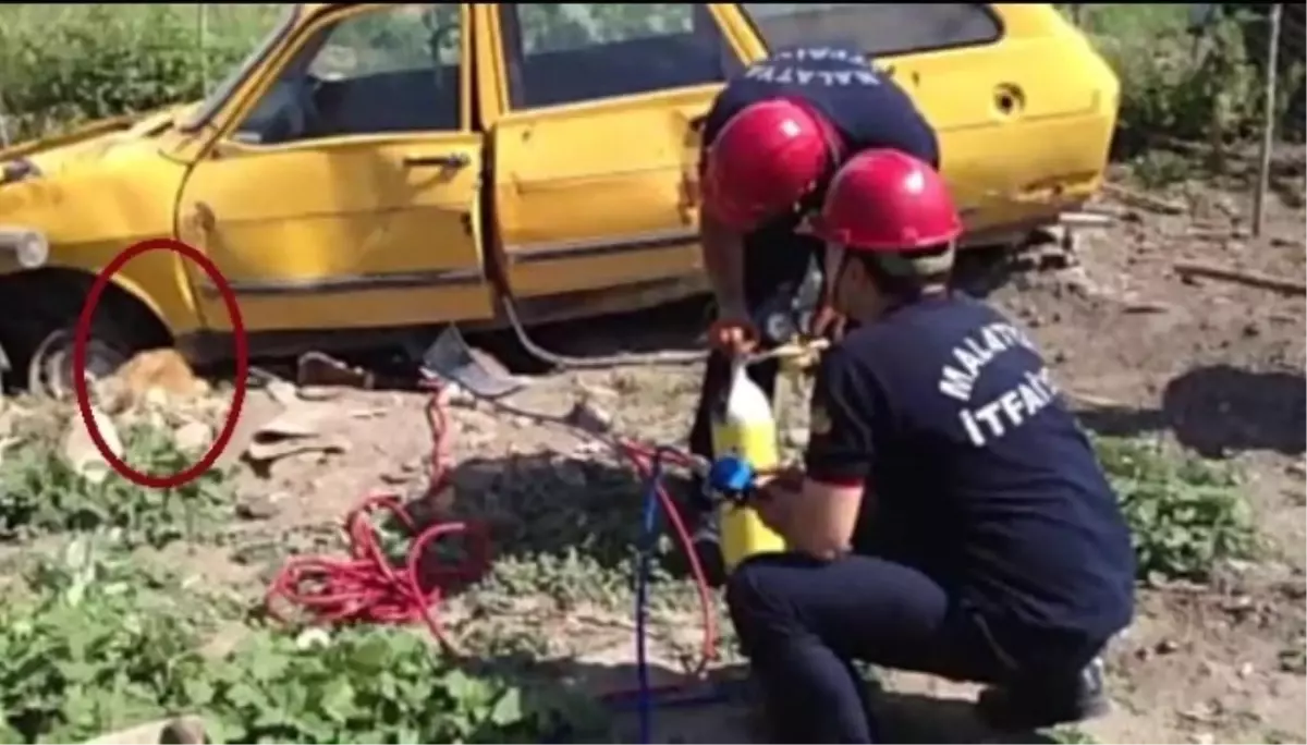 Hurda Aracın Altında Sıkışan Köpeği İtfaiye Ekipleri Kurtardı