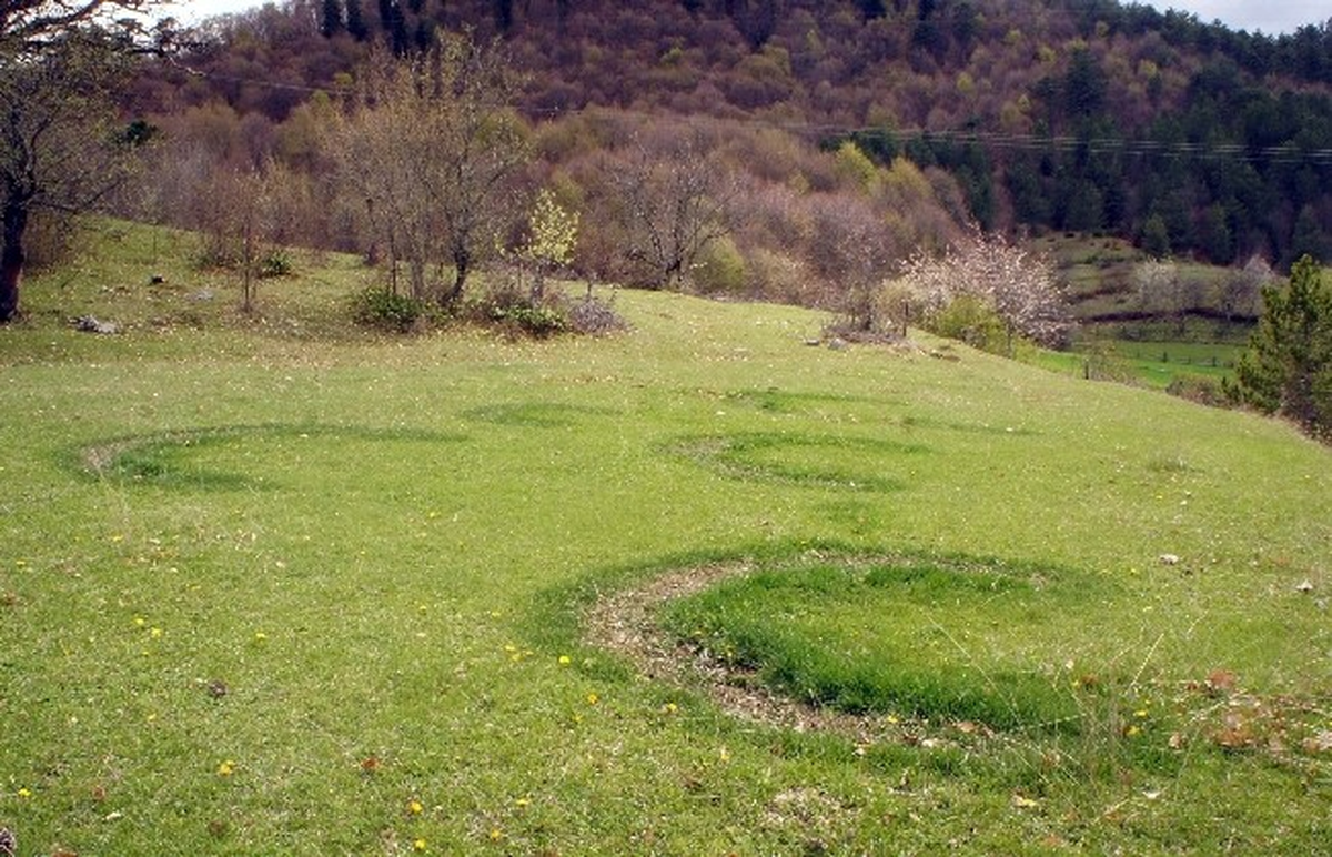 Tarlada Hilal Oluştu