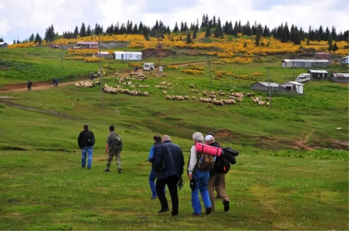 Giresun\'da Doğacılardan Yayla Göçü Yürüyüşü