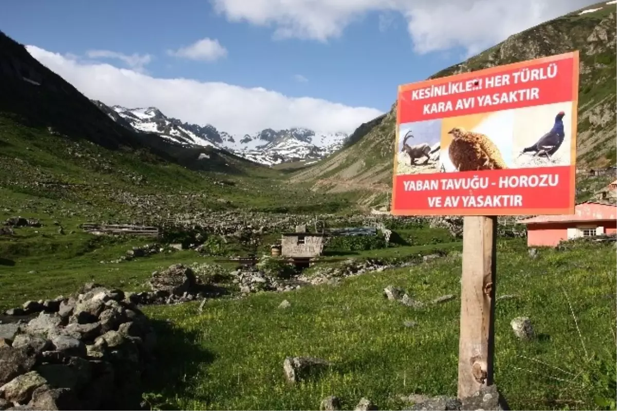 Hayvan Sevgileri Soyadlarına Yansıdı