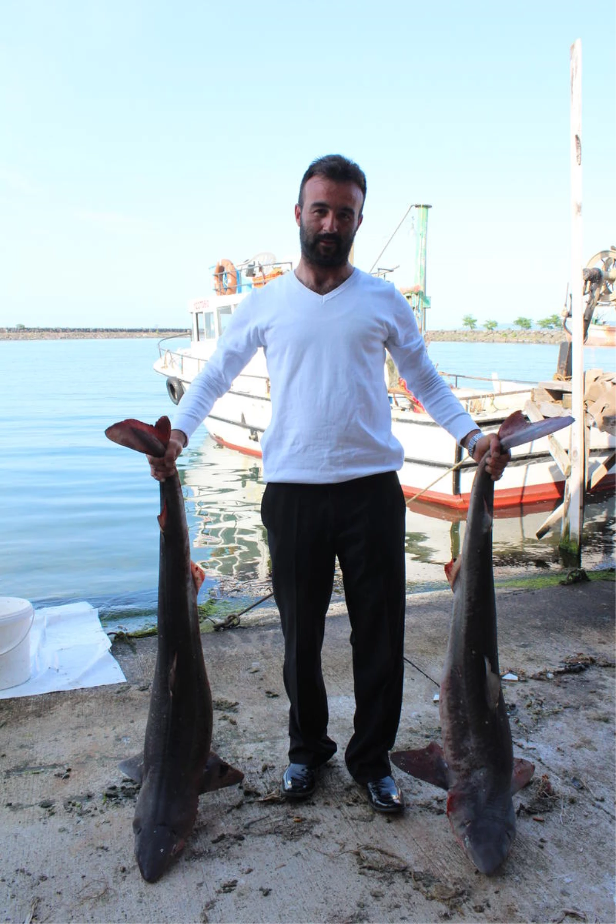 Kıyı Balıkçılarının Ağlarına 2 Köpek Balığı Takıldı