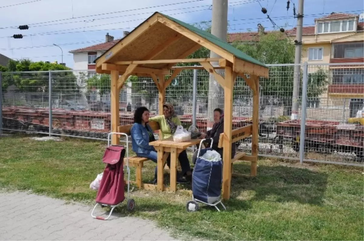 Şenkal Caddesi\'ne Kamelya