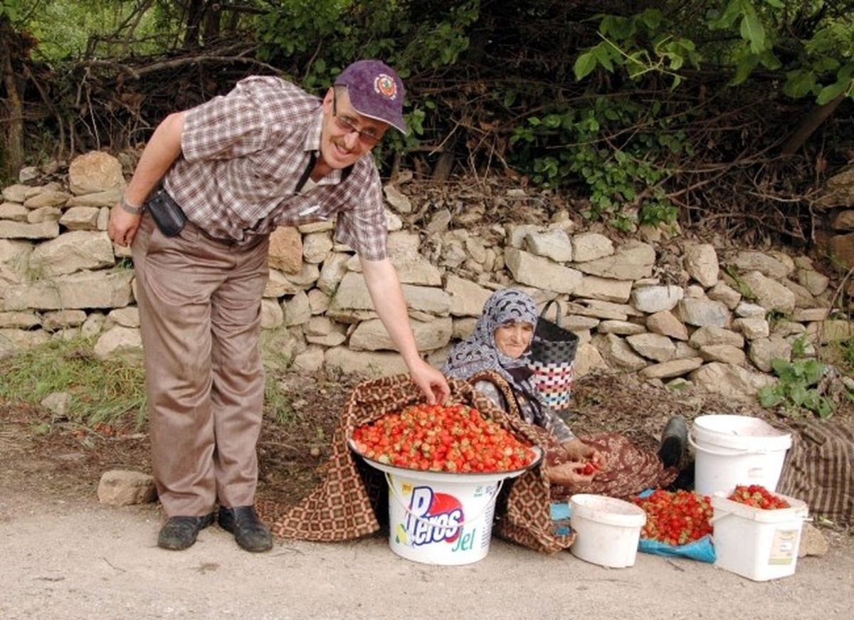 Demirciören Çilek Festivali 15 Haziran\'da