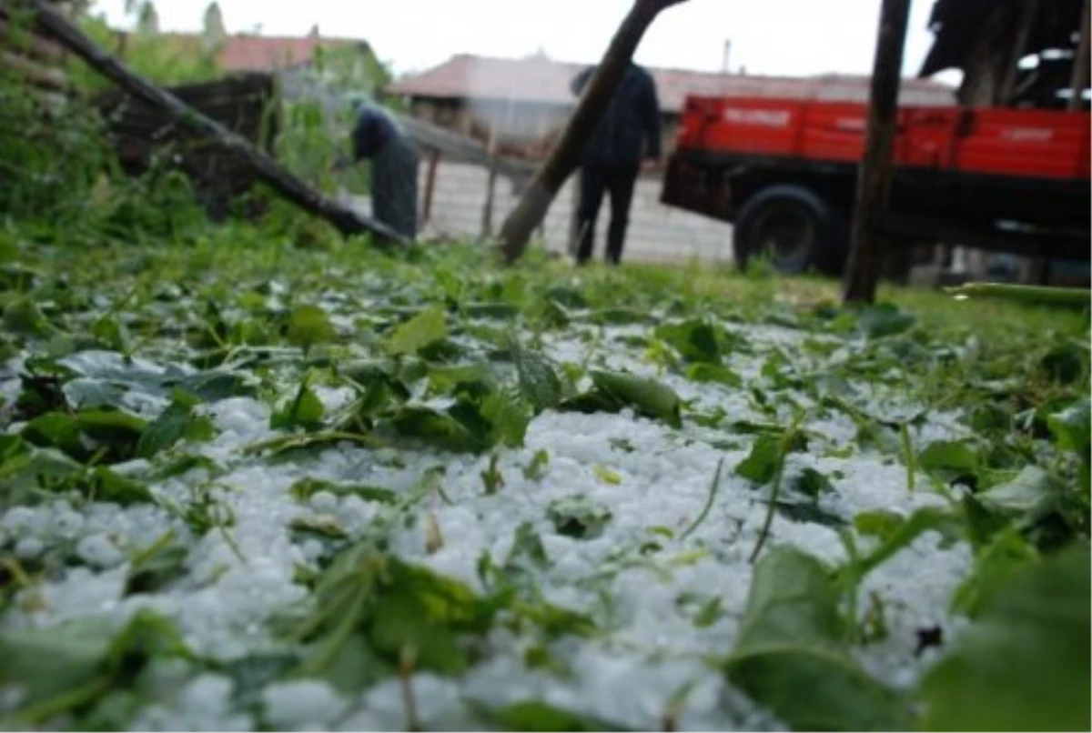 Erzurum\'da Yağmur ve Dolu Ekili Alanlara Zarar Verdi