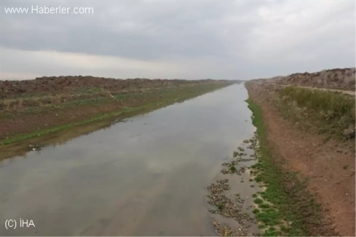 Kuraklık, Amik Ovası\'nı Nasıl Etkiledi?