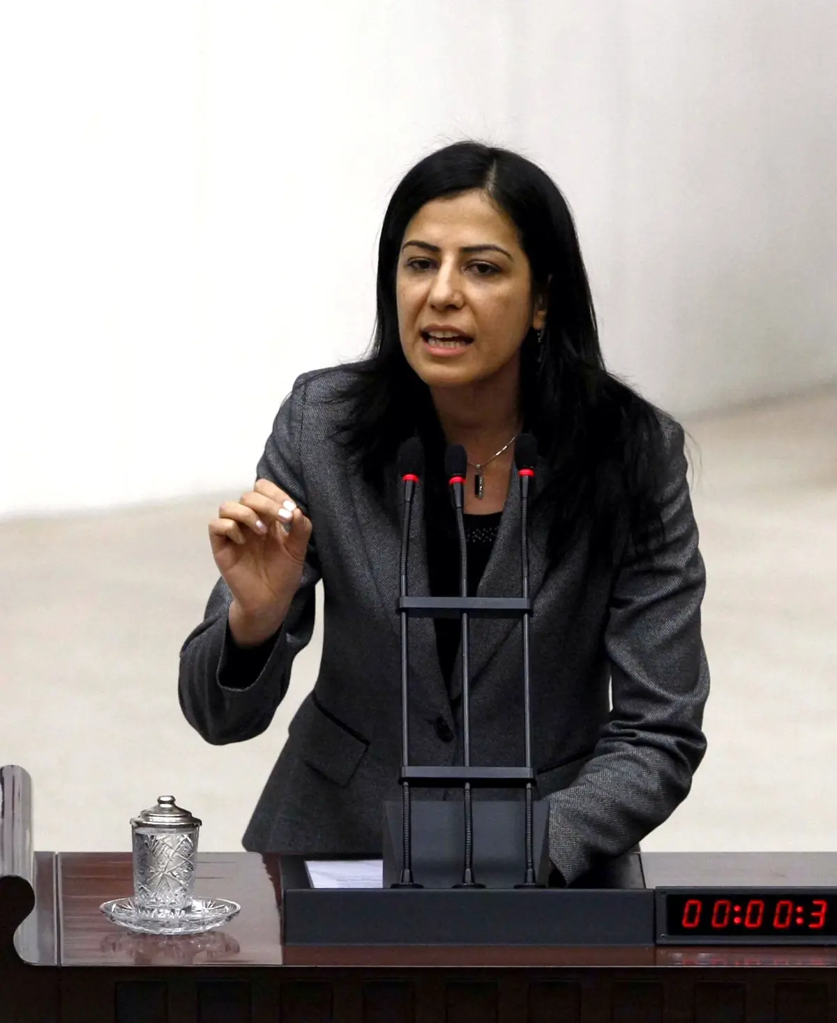 Tarım Destekleri Meclis Gündeminde