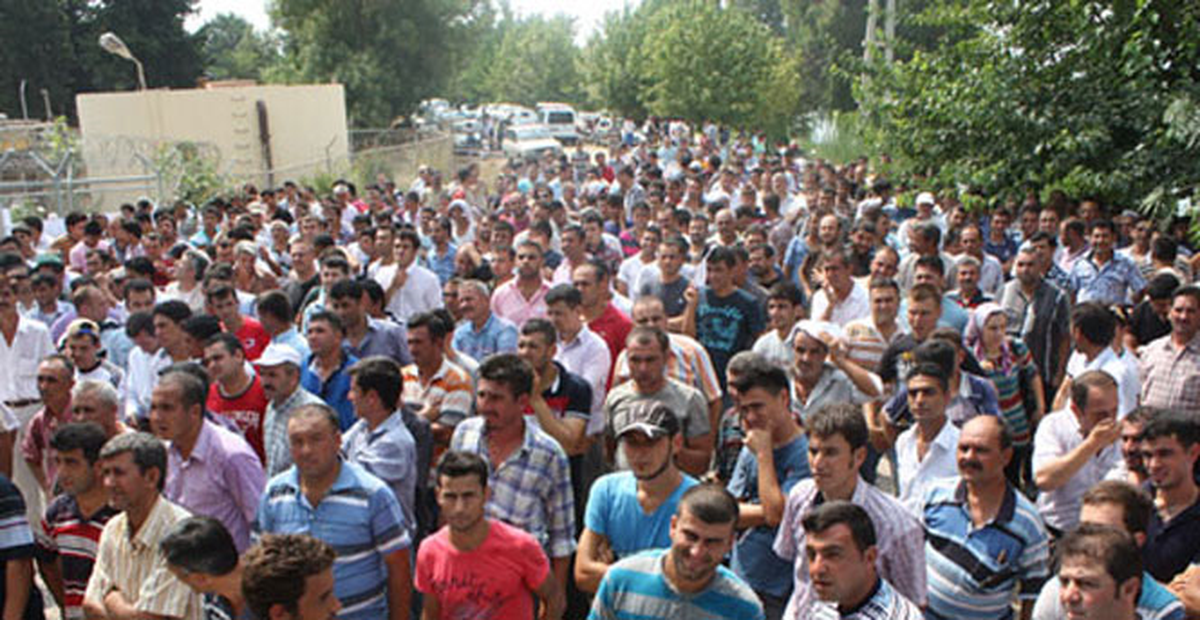 141 Kişinin Alınacağı İşe 5.329 Başvuru Yapıldı
