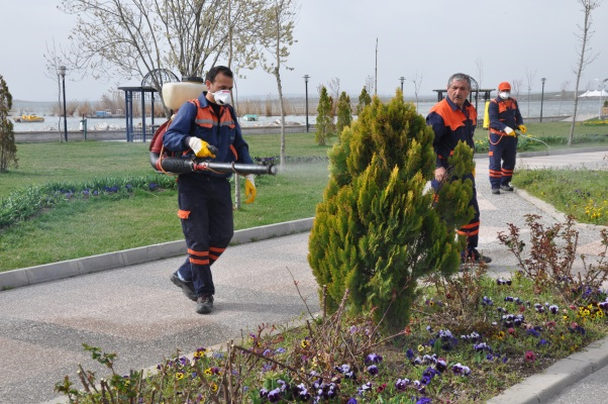 Gölbaşı\'nda Sinekle Mücadele Çalışmaları Sürüyor