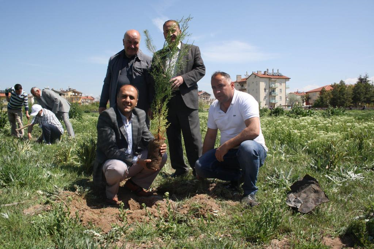 Beyşehir'de 2 Bin Toros Sediri Toprakla Buluştu