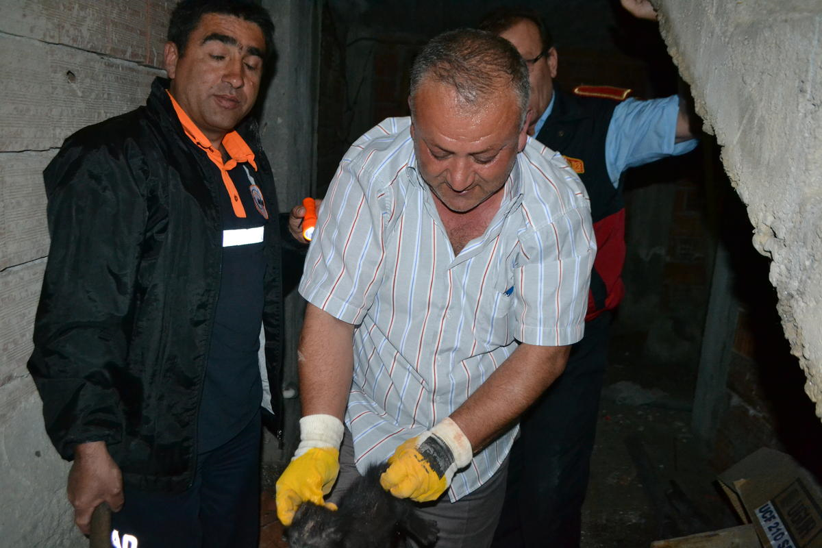 Bilecik\'te Kedi Kurtarma Operasyonu