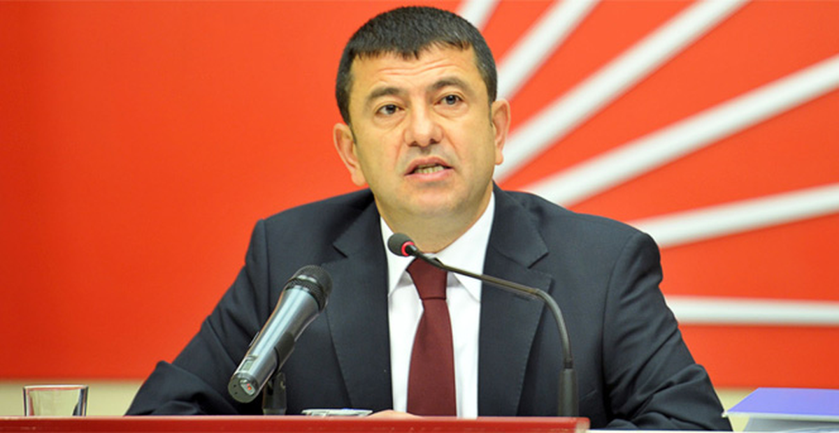 CHP\'li Ağbaba: 1 Haziran\'da Kedilere Dikkat