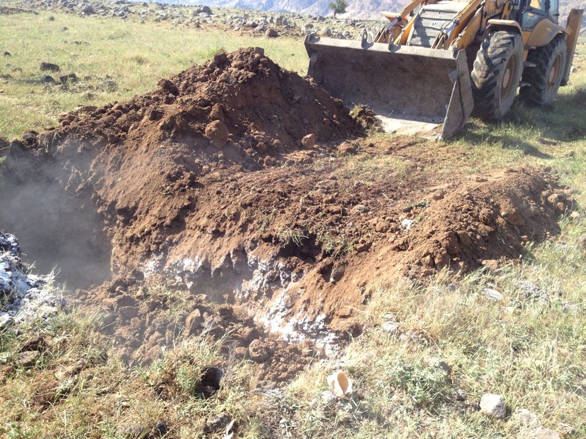 Cizre\'de Kuduz Karantinası