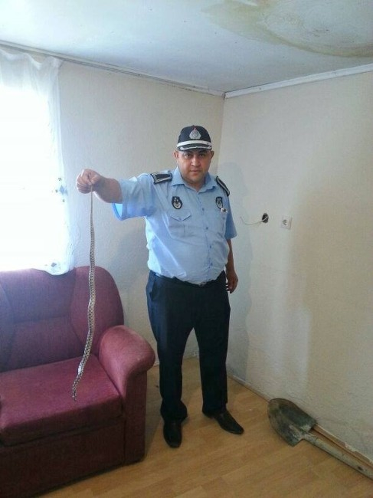 Denizli\'de Zabıtadan Yılan Operasyonu