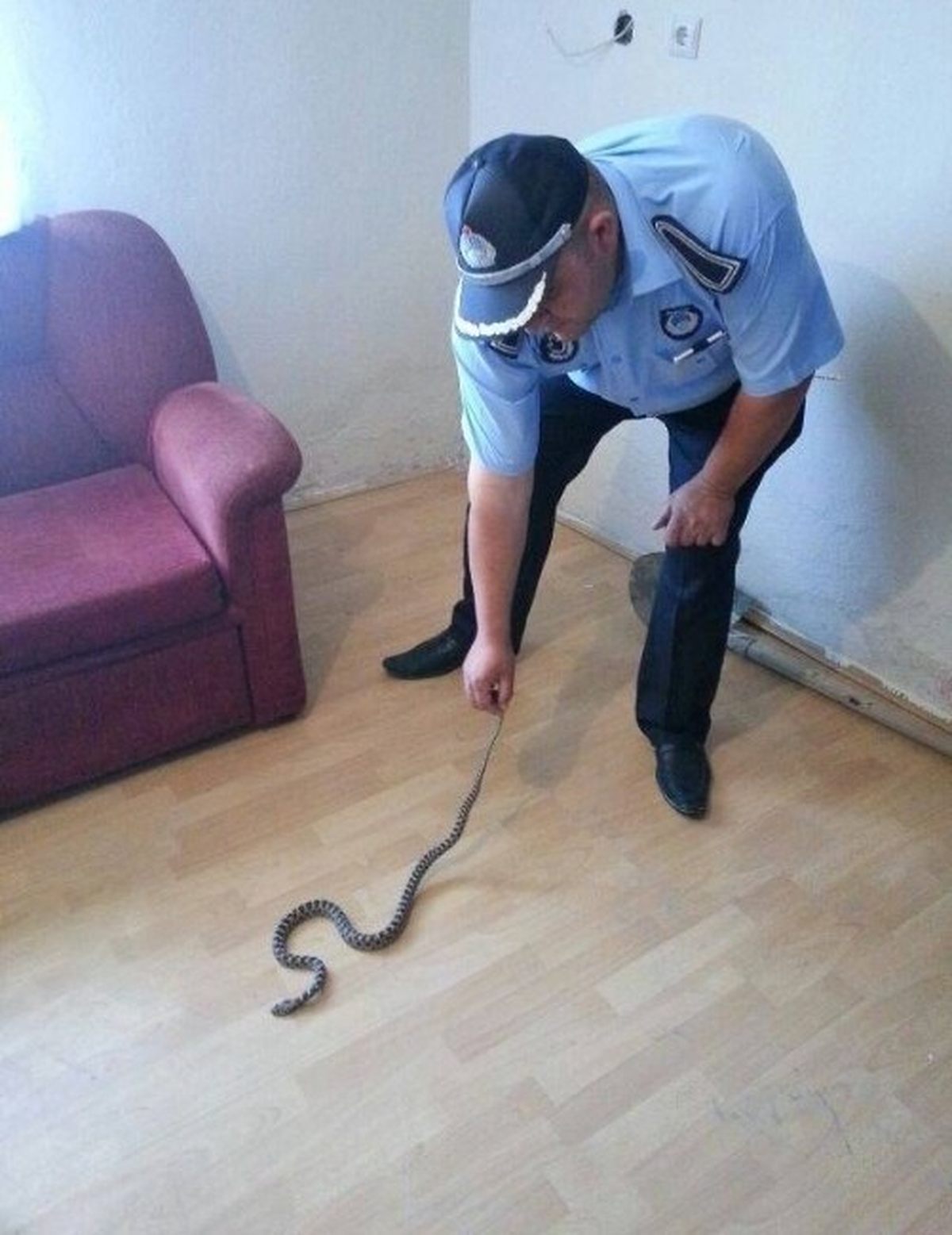 Evde Giren Yılan Belediye Ekiplerince Yakaladı